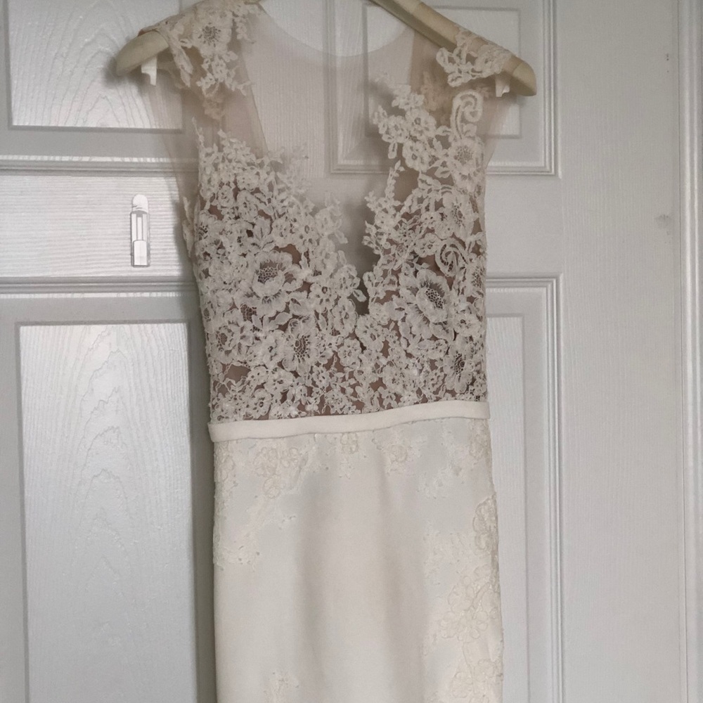 Pronovias Atelier Vicenta Wedding Dress - Picture 6 of 8